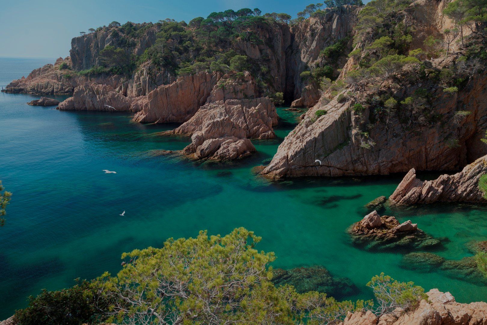Hostal Rigau - Qué hacer en Costa Brava - Calas de costa brava